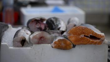 La respuesta de Alcampo después de que una compradora encontrara anisakis vivas en el pescado