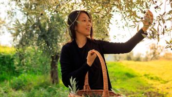 China copia el aceite de oliva español