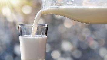 Una reputada nutricionista pide volver a los lácteos enteros y huir de los desnatados