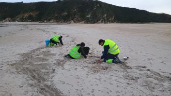 Cantabria se suma a Asturias y Galicia y activa el nivel 2 de alerta por el vertido de pellets de plástico