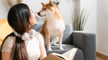 Tu perro te entiende: la ciencia aclara las 10 palabras que comprende tu mascota