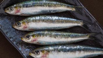 Pescado blanco o azul: una prestigiosa médica aclara las diferencias y cuál debemos consumir más