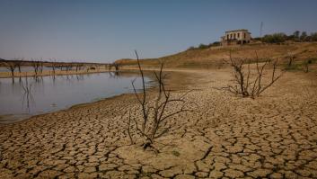 El campo comienza a "adaptarse" a una sequía "sin solución a la vista" ante la amenaza de las primeras restricciones masivas