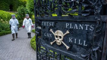 Belleza mortal: este es el jardín más peligroso del mundo