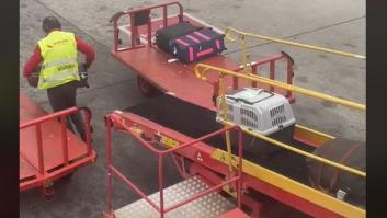Aterriza en Madrid y graba cómo ha recibido un trabajador a su perro en el aeropuerto