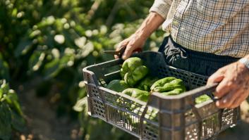 Suecia pide ayuda a España por el gran batacazo agrario