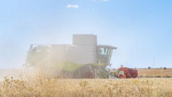 Contundente denuncia del campo español al trigo de Ucrania