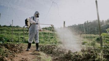 Reconocen el vínculo entre el herbicida más usado en Europa (y del mundo) con malformaciones