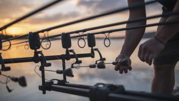 Revelan un gran secreto sobre la pesca gracias a una prueba masiva con señuelos