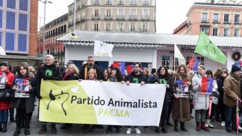 El día después de que PACMA superara a Podemos en votos: "El animalismo sigue muy vivo"