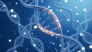 Un estudio de variantes genéticas revoluciona los test de riesgo de padecer cáncer o diabetes