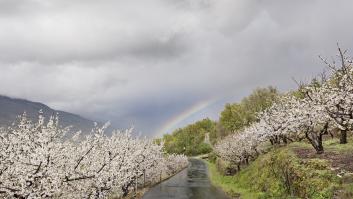 EEUU se fija en este rincón español para disfrutar de los cerezos en flor