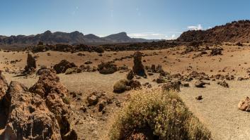 Tenerife se declara en emergencia por sequía extrema