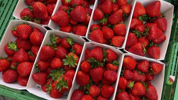 Una frutería revela el truco para saber si las fresas vienen de Marruecos o son españolas
