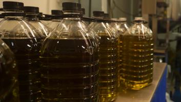 El futuro del aceite de oliva da un vuelco en España