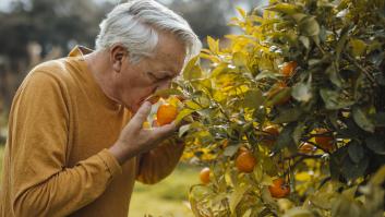 La pérdida del olfato puede predecir la muerte: los 5 aromas clave que anticipan el ocaso de la vida