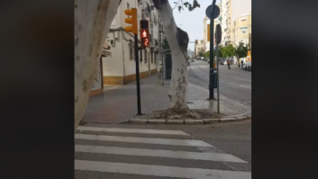 Este semáforo de Málaga es una fantasía: pocos (o ninguno) hay así en España
