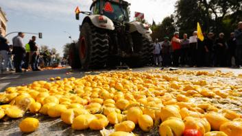 Los agricultores dejan caer los limones al suelo por una crisis histórica