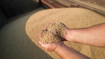 Rumanía acaba con el problema del cereal con el gran granero de Europa