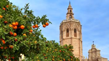 Marruecos y Sudáfrica temen con el futuro de sus frutas en España