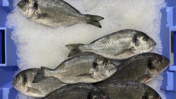 Jaque mate de Murcia a uno de los pescados más consumidos en España