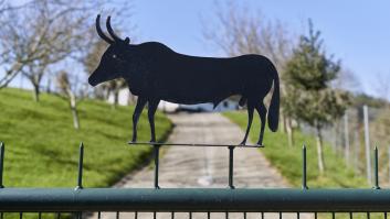 La curiosa forma en la que un ganadero asturiano avisa de que tiene un toro en su finca