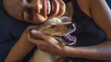 Un estudio avisa que tu perro podría odiar este gesto de cariño muy común y propone alternativa