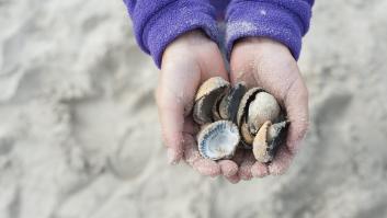 La práctica más común de los niños en las playas es un peligro para el ecosistema