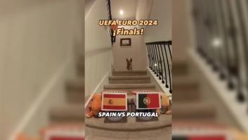 Steph Furry, el perro que acertó que el Real Madrid ganaría la Champions, predice al campeón de la Eurocopa