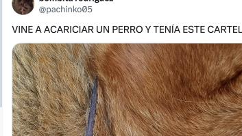 Se acerca a un perro para acariciarlo y tiene un cartel colocado que da la vuelta al mundo