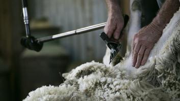 China asfixia a España en lana