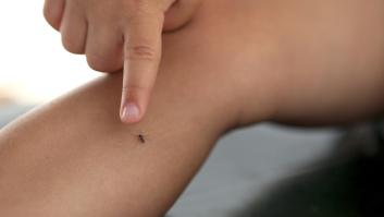 Un símbolo japonés te librará de los mosquitos este verano
