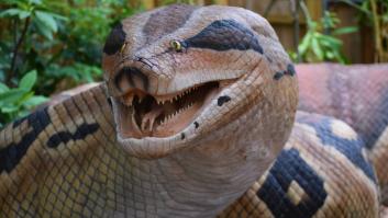Esta fue la serpiente más larga del mundo: te alegrará saber que está extinta