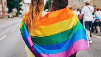 Bandera del orgullo LGTBIQ+: ¿qué significa cada color?