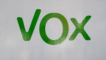 Dos diputados cántabros de Vox denuncian grabaciones ilegales de un asesor del partido