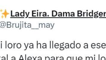 Lo que ha hecho su loro llega a un nivel que casi le cuesta un disgusto (y de los caros)