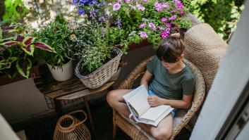 La planta desconocida que debes tener en tu jardín o balcón para evitar los mosquitos