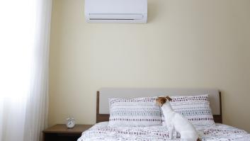 Estas son las consecuencias del aire acondicionado en el aparato respiratorio de un perro