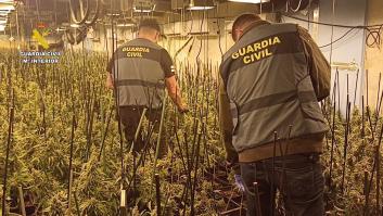 La Guardia Civil pone orden en el pueblo con más plantas de marihuana que habitantes