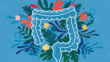 Los cuatro pilares innegociables para gozar de la mejor salud intestinal