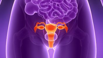 Mueven el útero de una mujer con cáncer de la pelvis al abdomen para proteger su fertilidad