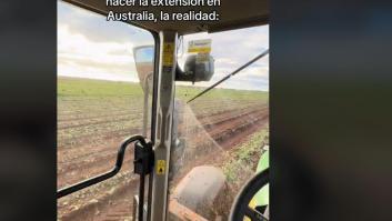 Esta española muestra cómo recogen la remolacha en Australia: parece de videojuego