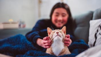 Ni psss-pss ni michi-michi: revelan cómo debes llamar a un gato para que al fin te haga caso