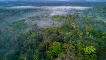 Alarma ante la medida desesperada de una tribu aislada del Amazonas: "Desastre humanitario en curso"