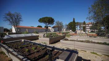 La ciudad española de los ricos aspira a ser la más ecológica de Europa en la final ante Bremen y Cascais