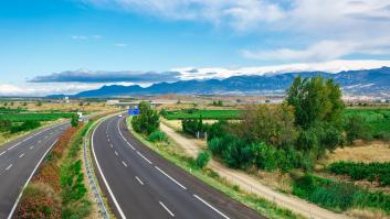 El motivo por el que esta planta se usa tanto en las autovías