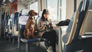 Las puertas del AVE se abren para perros gigantes