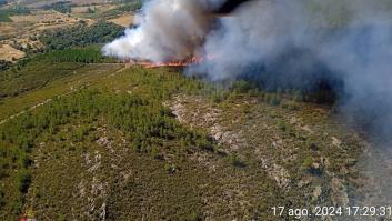 Se eleva a nivel 2 de peligrosidad el incendio forestal en Trabazos (Zamora)