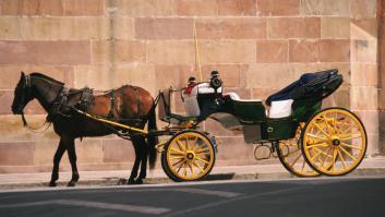 El Ayuntamiento de Málaga intentará poner fin a los paseos en coches de caballo