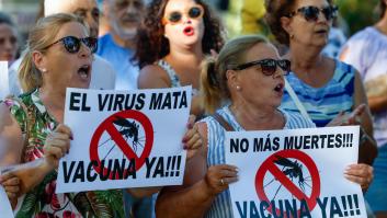 El mosquito que trasmite el Virus del Nilo vuela hacia la ciudad más poblada de Cádiz